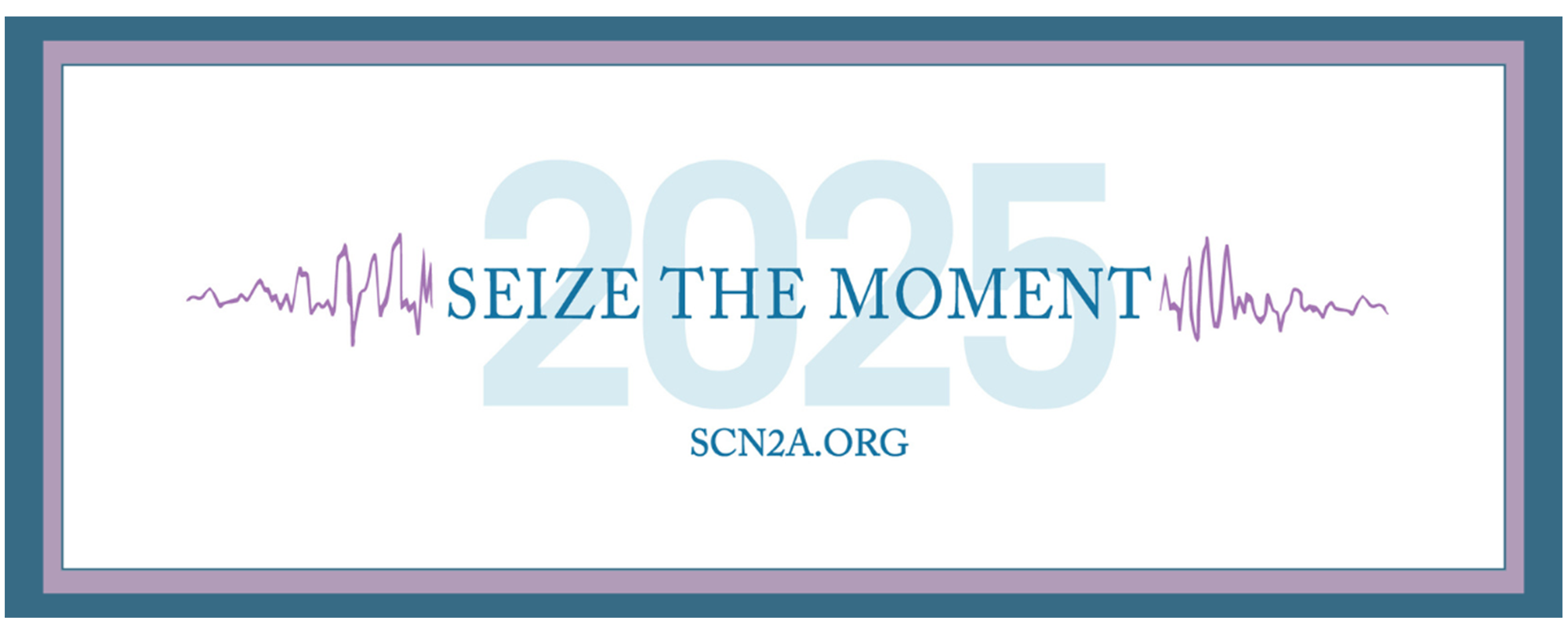 scn2a foundation
