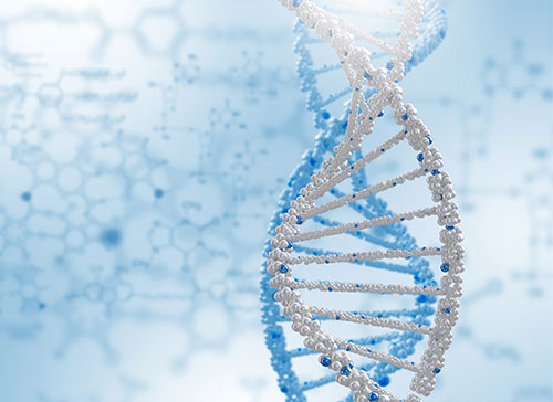 scn2a mutation