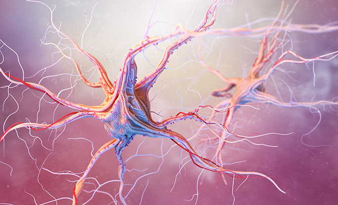 scn2a gene mutation