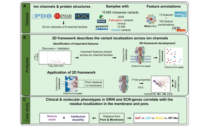 Deficiency of autism-related Scn2a gene in mice disrupts sleep patterns and circadian rhythms