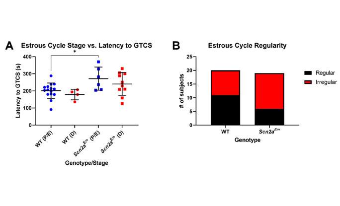 Deficiency of autism-related Scn2a gene in mice disrupts sleep patterns and circadian rhythms