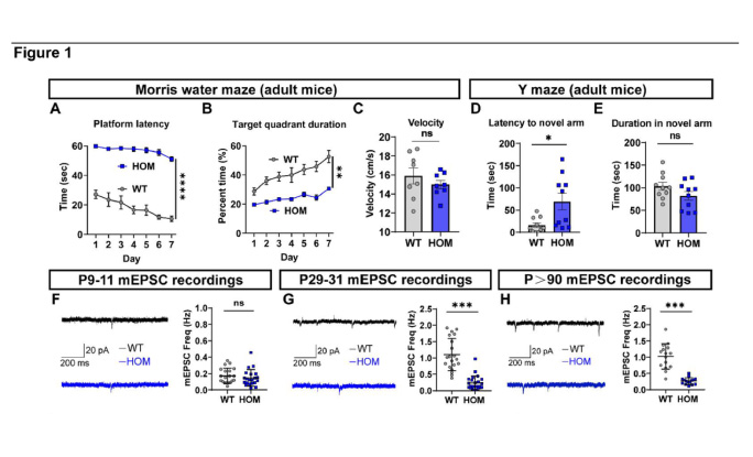 Deficiency of autism-related Scn2a gene in mice disrupts sleep patterns and circadian rhythms