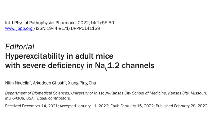Deficiency of autism-related Scn2a gene in mice disrupts sleep patterns and circadian rhythms