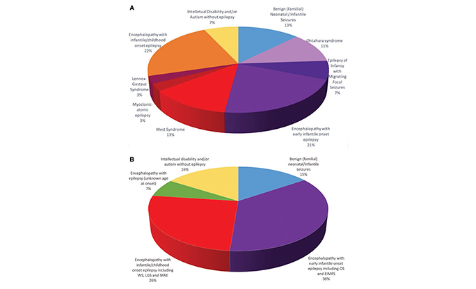 Genetic and phenotypic heterogeneity suggest therapeutic implications in SCN2A-related disorders