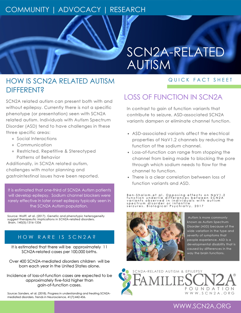 SCN2A related autism