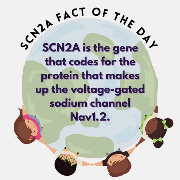 fact-3