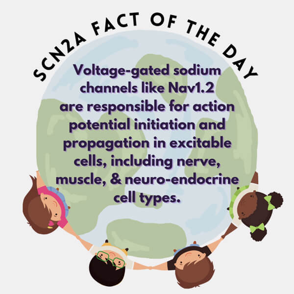 fact-4