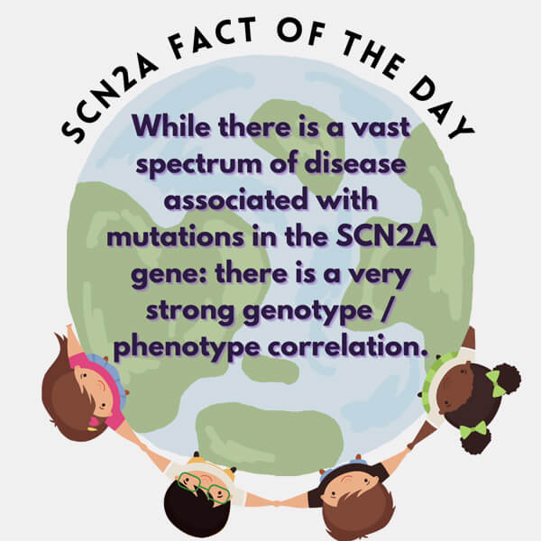 fact-6