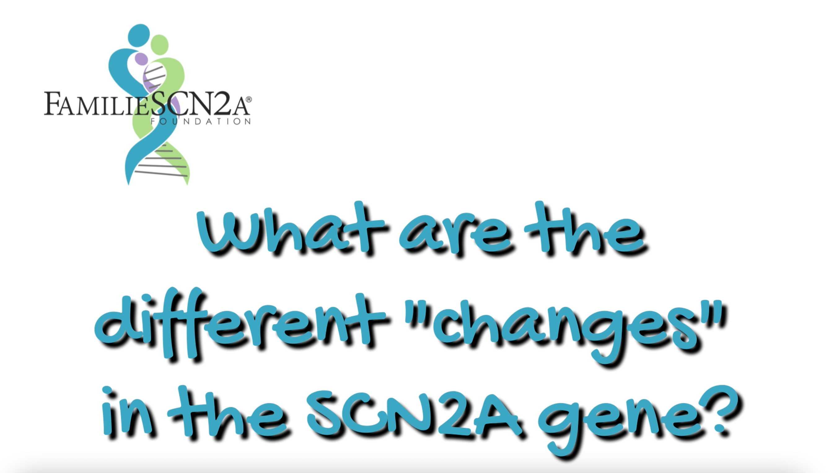 What Are the Different “Changes” in the SCN2A Gene?